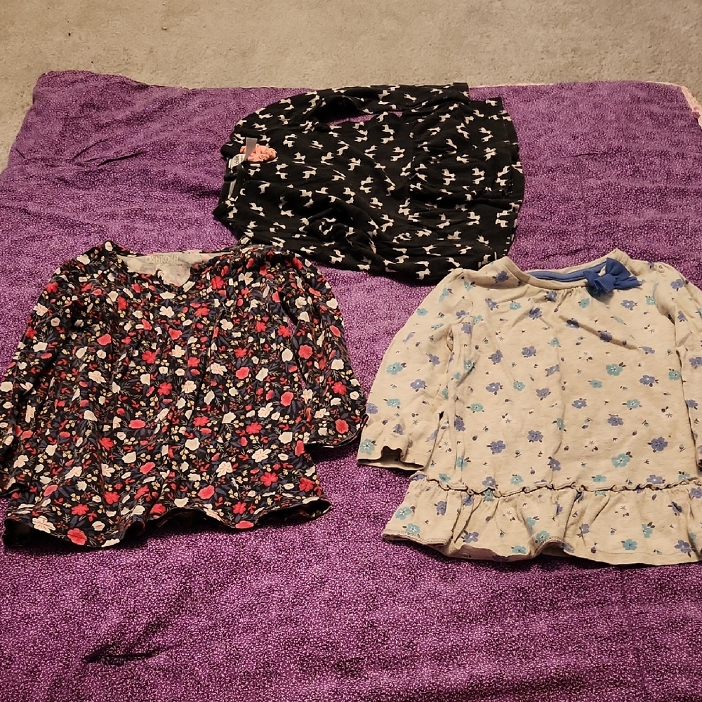 3 Long sleeve Shirts, Size 2T
